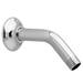 American Standard - 1660240.002 - Shower Arms