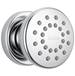 Delta Faucet - 50102 - Bodysprays Shower Heads