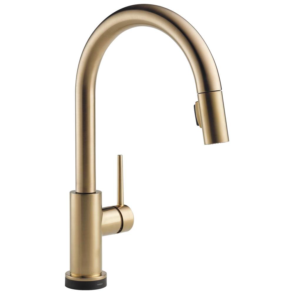 Delta Faucet Deck Mount Kitchen Faucets item 9159T-CZ-DST