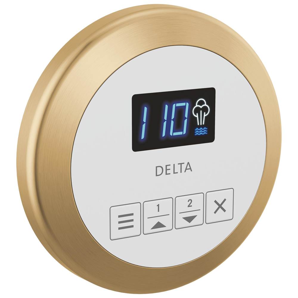 Delta Faucet  Steam Shower Controls item EP103307CZPR