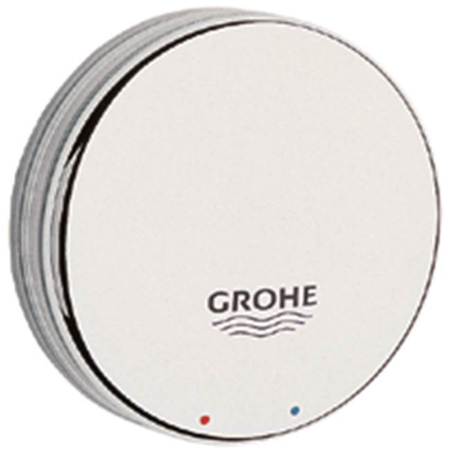 Grohe  Shower Parts item 46130000