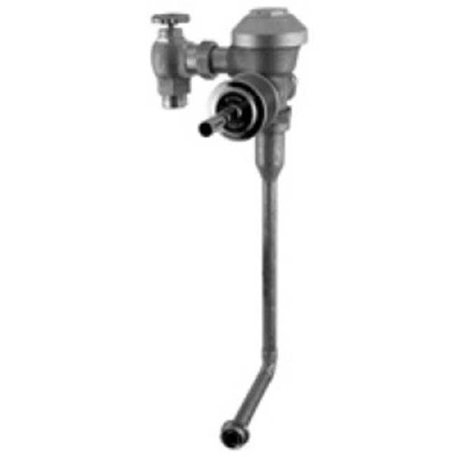 Zurn Industries Flush Valves Toilet Parts item Z6195AV-EWS-4L-BG